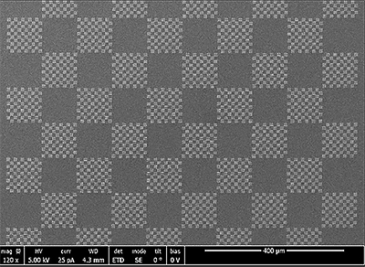 EM-Tec M-1 calibration standard with 1µm grid pattern